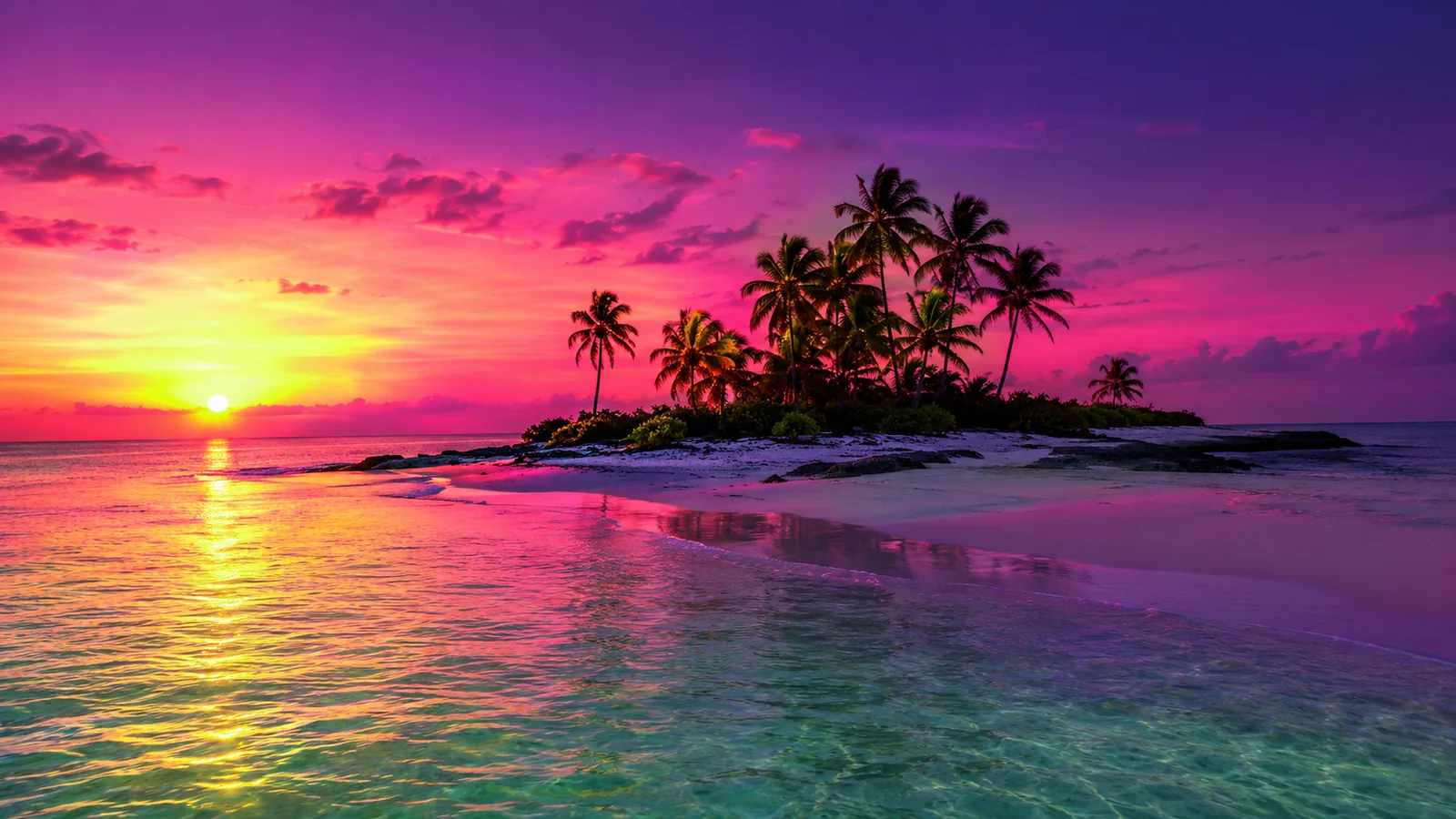 Cayo Arena