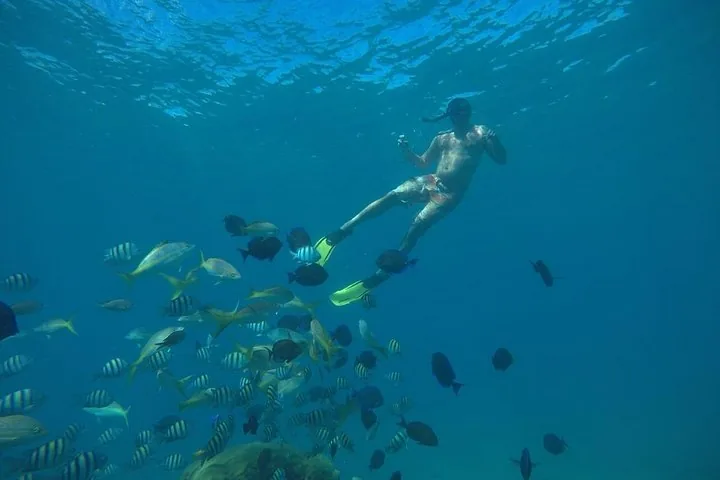 Schnorchelnder unter Wasser, umgeben von einem Schwarm bunter Fische